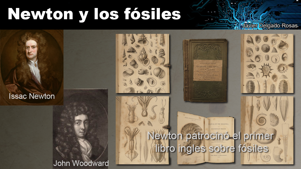 Newton y los fósiles